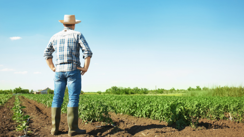 Com visão estratégica, Alfredo Moreira Filho mostra como a agronomia pode impulsionar o desenvolvimento regional e construir uma carreira de verdadeiro impacto.