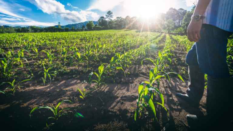 Agronomia aliada à gestão cria soluções que transformam territórios e geram oportunidades, como destaca Alfredo Moreira Filho.
